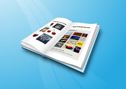 Illustrator