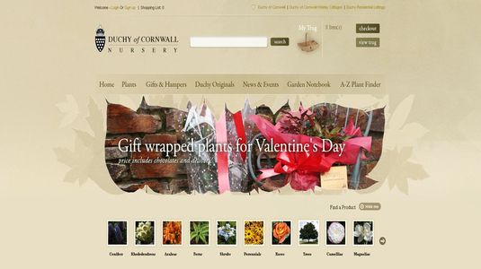 50 Beautiful E-Commerce Website Designs 12 E-Commerce