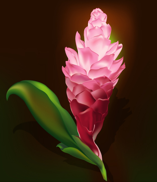 Tutorial Roundup: 37 Quality Photoshop and Illustrator Tutorials 24 Tutorial Roundup: 37 Quality Photoshop and Illustrator Tutorials 24