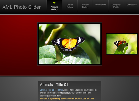 20 Free Flash Templates With Source File 10 20 Free Flash Templates With Source File 10