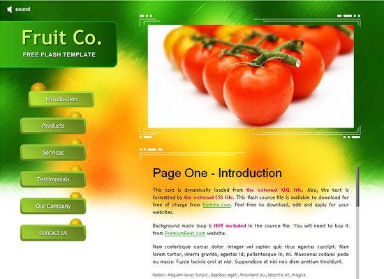20 Free Flash Templates With Source File 11 20 Free Flash Templates With Source File 11