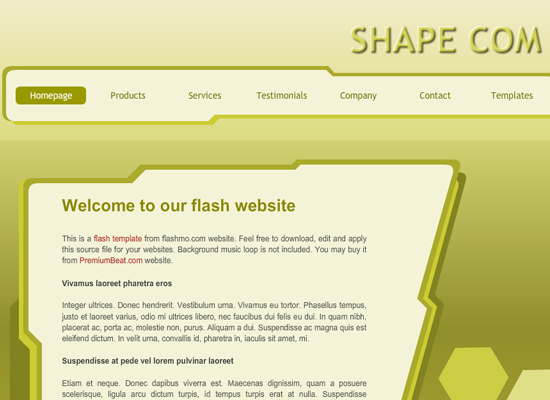 20 Free Flash Templates With Source File 18 20 Free Flash Templates With Source File 18