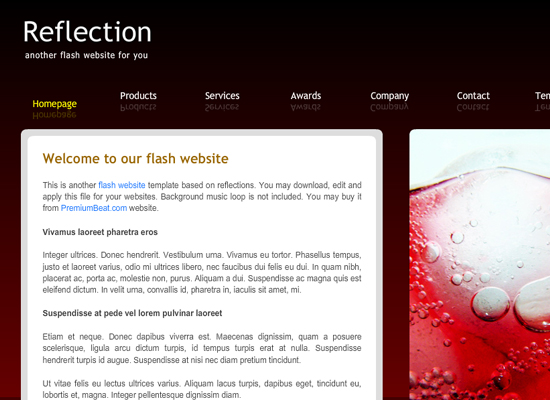 20 Free Flash Templates With Source File 19 20 Free Flash Templates With Source File 19