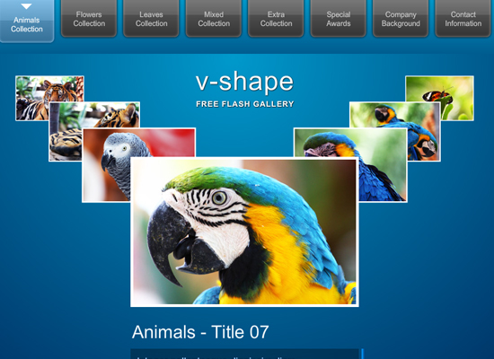 20 Free Flash Templates With Source File 4 20 Free Flash Templates With Source File 4