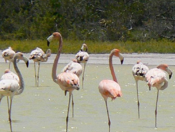 40 Beautiful National Parks Around The Globe 17 40 Beautiful National Parks Around The Globe 17