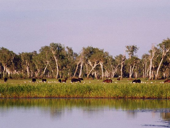 40 Beautiful National Parks Around The Globe 32 40 Beautiful National Parks Around The Globe 32