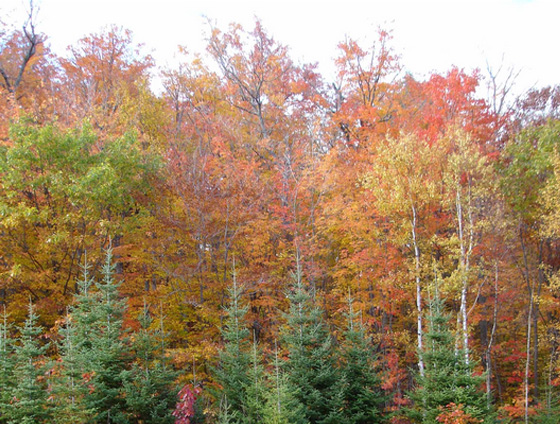 40 Beautiful National Parks Around The Globe 4 40 Beautiful National Parks Around The Globe 4