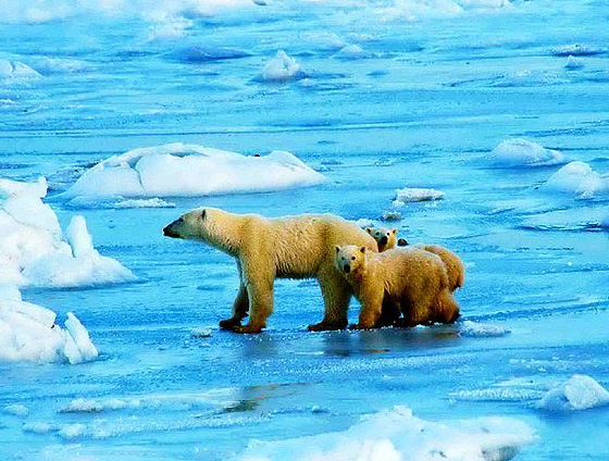 40 Beautiful National Parks Around The Globe 7 40 Beautiful National Parks Around The Globe 7