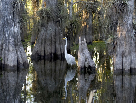 40 Beautiful National Parks Around The Globe 8 40 Beautiful National Parks Around The Globe 8