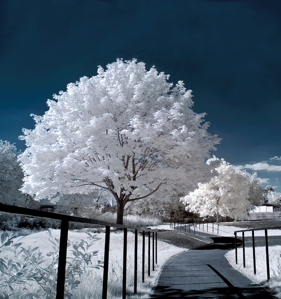 A Showcase of 20 Absolutely Amazing Landscape Photography 12 A Showcase of 20 Absolutely Amazing Landscape Photography 12