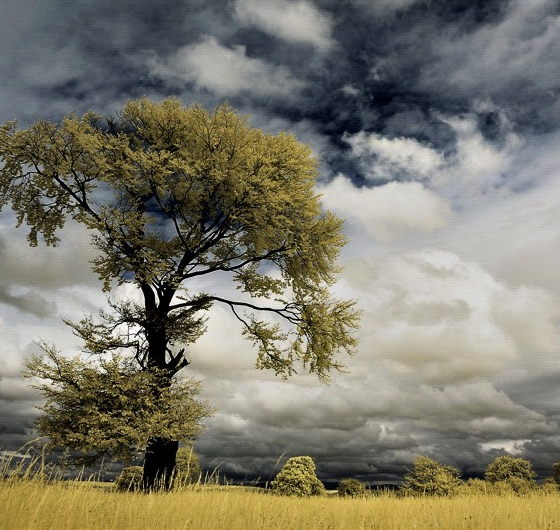 A Showcase of 20 Absolutely Amazing Landscape Photography 15 A Showcase of 20 Absolutely Amazing Landscape Photography 15