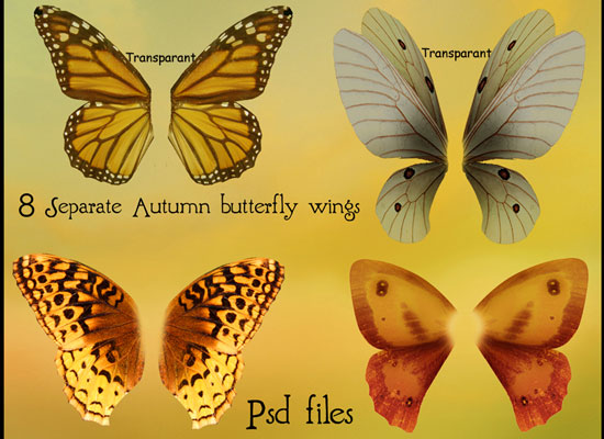 20 Most Useful Free PSD Design Element for Web Designers 13 20 Most Useful Free PSD Design Element for Web Designers 13