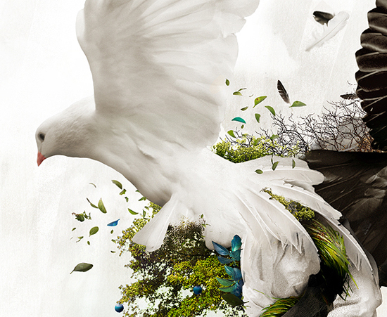 30+ Excellent Examples Of Photo Manipulation 19 30+ Excellent Examples Of Photo Manipulation 19
