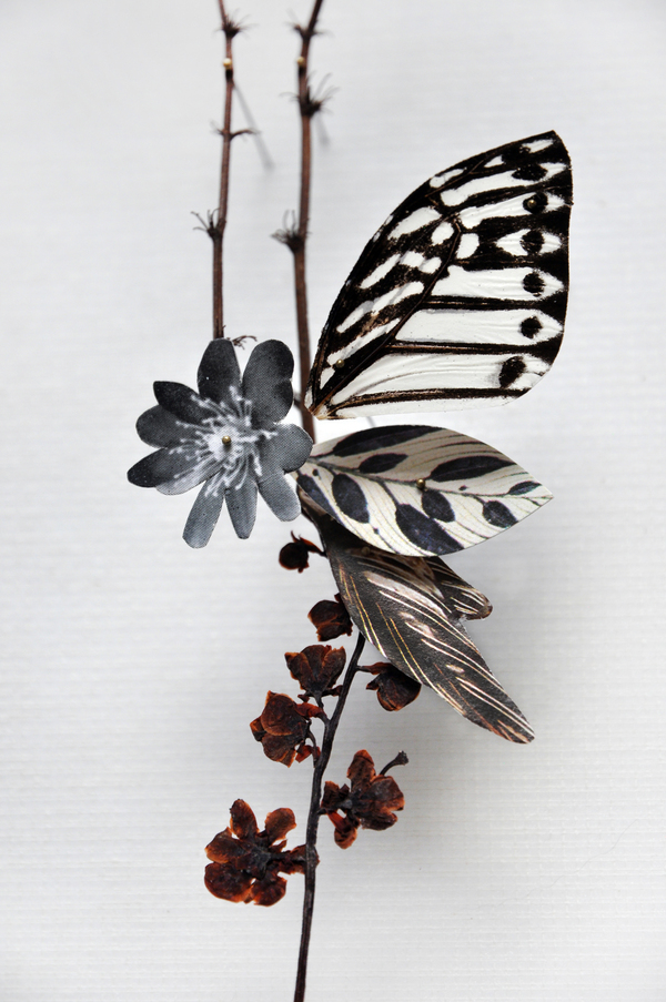 Beautiful Flower Illustrations for designers Inspiration 10 Beautiful Flower Illustrations for designers Inspiration 10