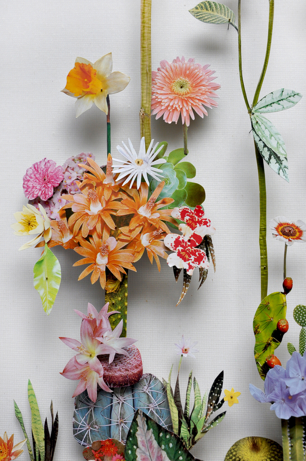 Beautiful Flower Illustrations for designers Inspiration 2 Beautiful Flower Illustrations for designers Inspiration 2