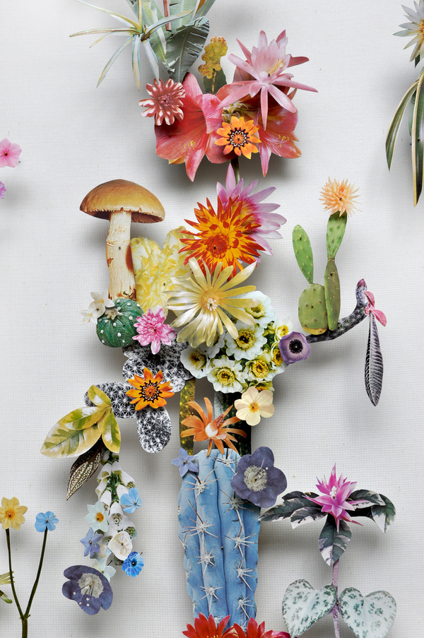 Beautiful Flower Illustrations for designers Inspiration 3 Beautiful Flower Illustrations for designers Inspiration 3