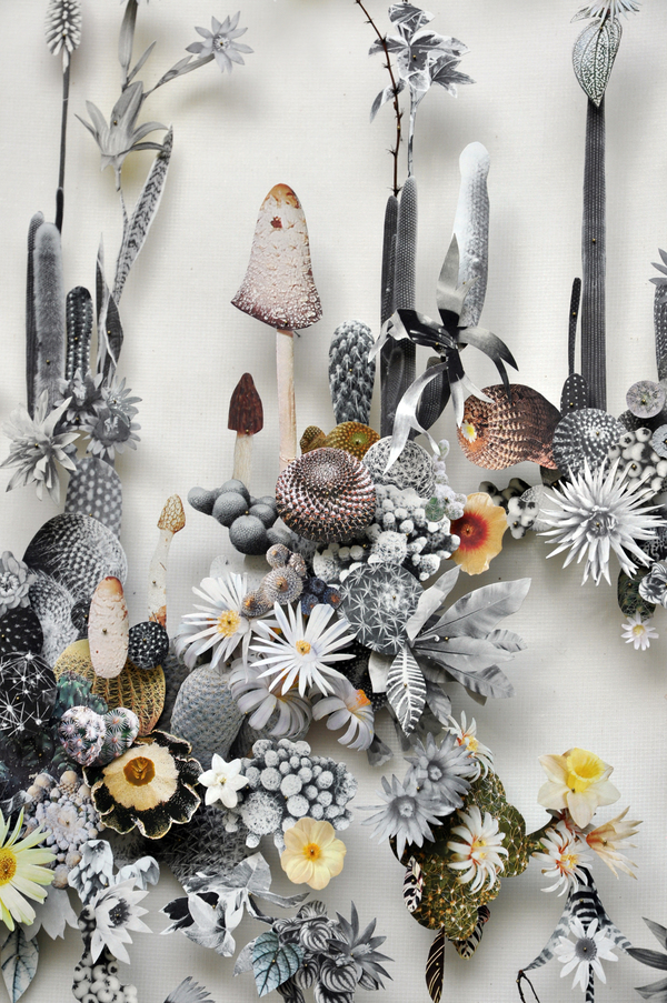 Beautiful Flower Illustrations for designers Inspiration 6 Beautiful Flower Illustrations for designers Inspiration 6