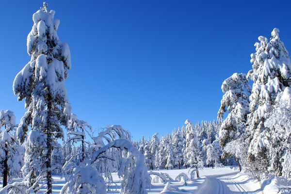 20 Beautiful Winter Wallpaper for Desktop 1 20 Beautiful Winter Wallpaper for Desktop 1