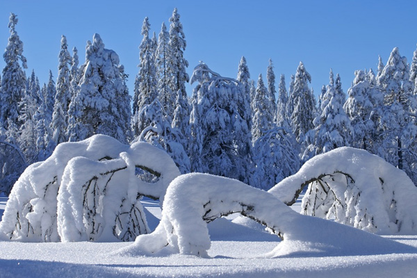 20 Beautiful Winter Wallpaper for Desktop 11 20 Beautiful Winter Wallpaper for Desktop 11