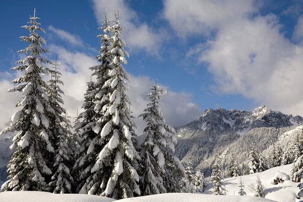 20 Beautiful Winter Wallpaper for Desktop 2 20 Beautiful Winter Wallpaper for Desktop 2