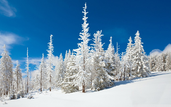20 Beautiful Winter Wallpaper for Desktop 3 20 Beautiful Winter Wallpaper for Desktop 3