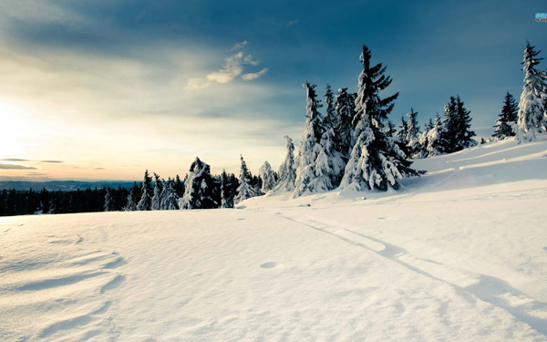 20 Beautiful Winter Wallpaper for Desktop 6 20 Beautiful Winter Wallpaper for Desktop 6