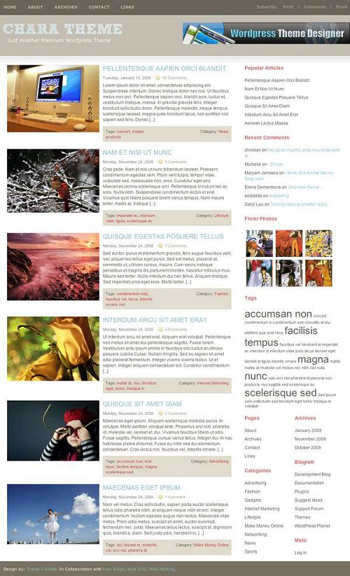 25 Free High Quality WordPress Themes 13 25 Free High Quality WordPress Themes 13