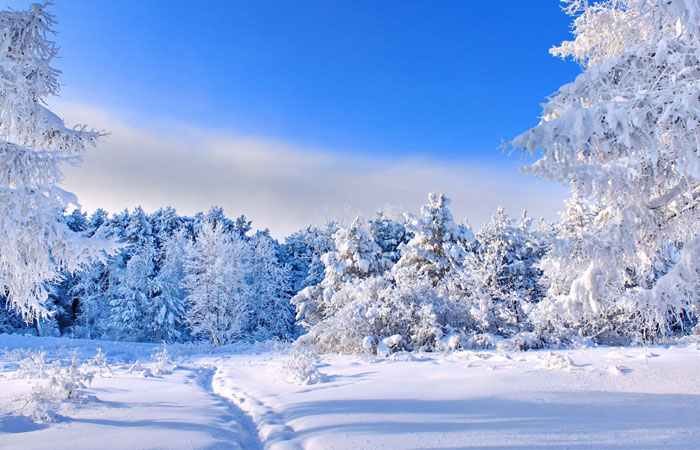 20 Wonderful Winter Wallpaper for Desktop 12 20 Wonderful Winter Wallpaper for Desktop 12