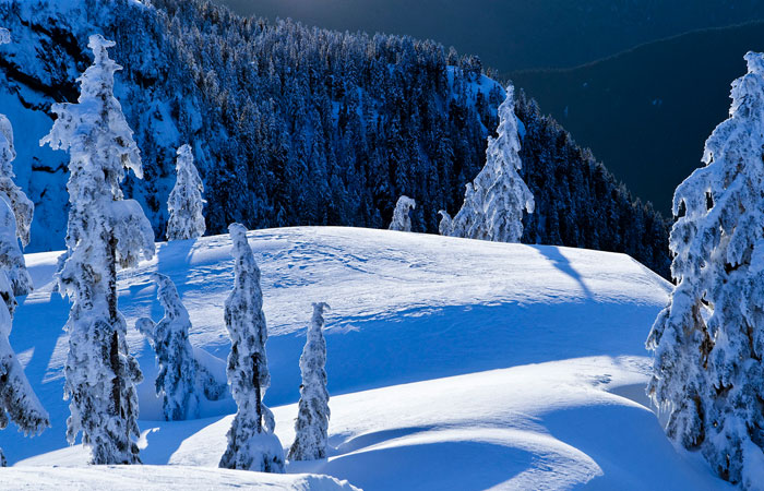 20 Wonderful Winter Wallpaper for Desktop 13 20 Wonderful Winter Wallpaper for Desktop 13