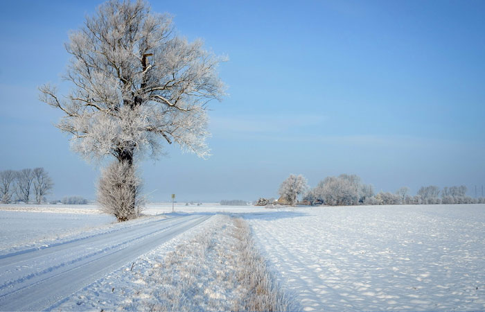 20 Wonderful Winter Wallpaper for Desktop 14 20 Wonderful Winter Wallpaper for Desktop 14