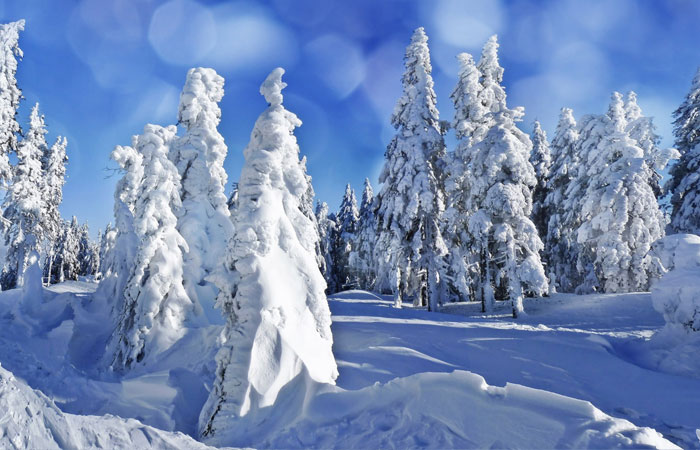 20 Wonderful Winter Wallpaper for Desktop 15 20 Wonderful Winter Wallpaper for Desktop 15