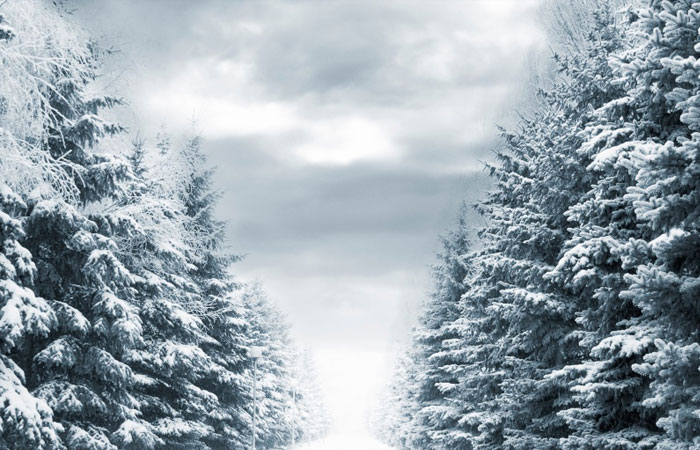 20 Wonderful Winter Wallpaper for Desktop 17 20 Wonderful Winter Wallpaper for Desktop 17