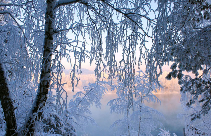 20 Wonderful Winter Wallpaper for Desktop 18 20 Wonderful Winter Wallpaper for Desktop 18