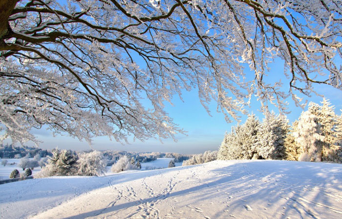 20 Wonderful Winter Wallpaper for Desktop 19 20 Wonderful Winter Wallpaper for Desktop 19