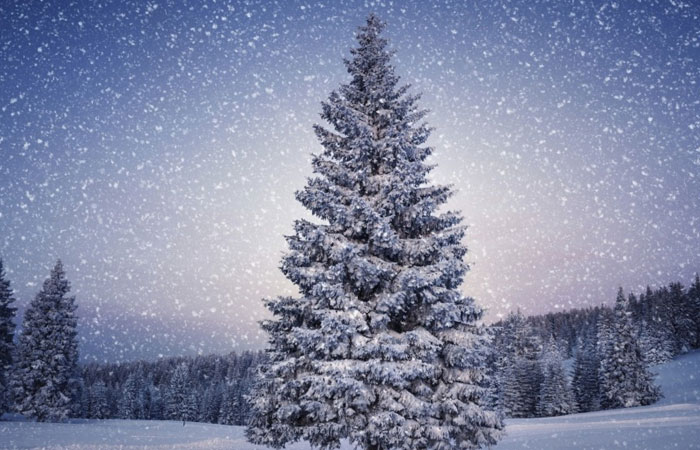 20 Wonderful Winter Wallpaper for Desktop