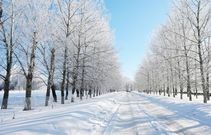 20 Wonderful Winter Wallpaper for Desktop 5 20 Wonderful Winter Wallpaper for Desktop 5