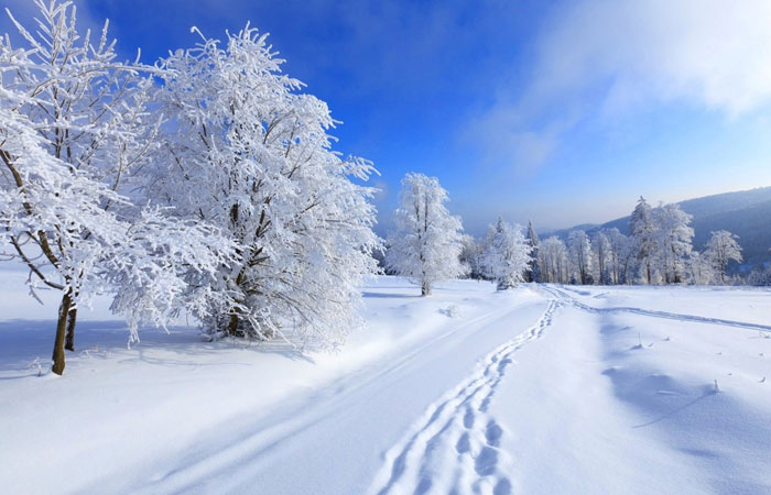 20 Wonderful Winter Wallpaper for Desktop 7 20 Wonderful Winter Wallpaper for Desktop 7