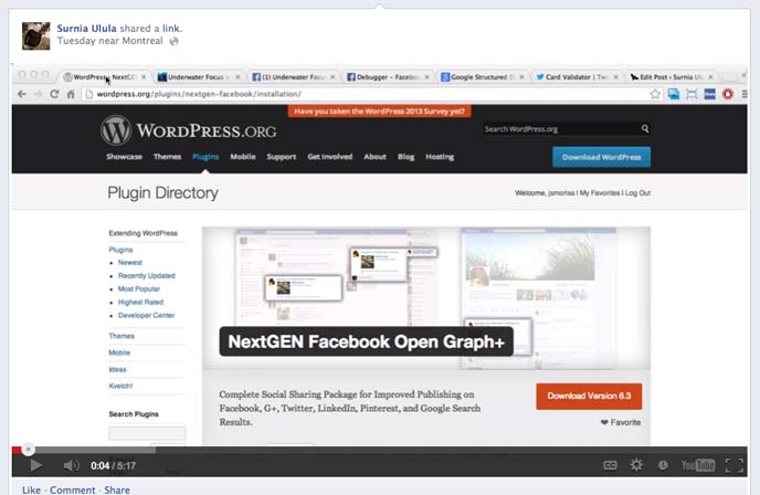 20 Useful Free and Premium Shortcode Plugins for WordPress 11