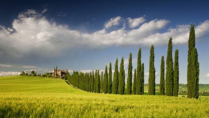 20 Beautiful Wallpaper for Your Desktop 6 20 Beautiful Wallpaper for Your Desktop 6