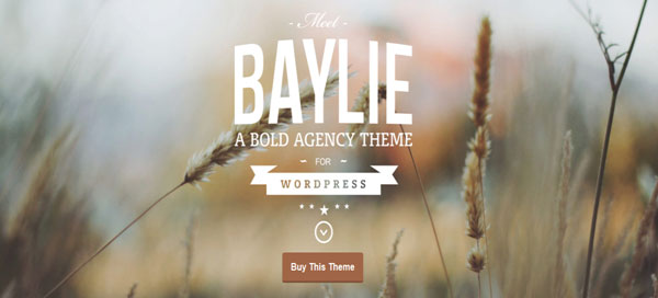 15 Stunning Parallax WordPress Themes to Inspire You