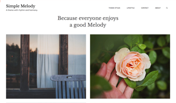 Top 5 Absolutely New and Stunning WordPress Themes for Designers