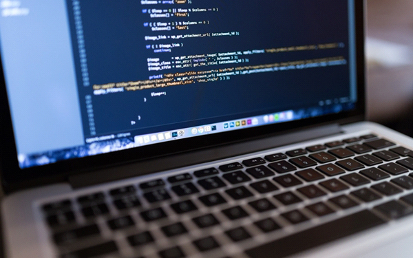 Why WordPress should be your choice