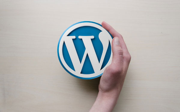 7 Most Important WordPress Plugins for eCommerce Sites 1 wordpress plugins