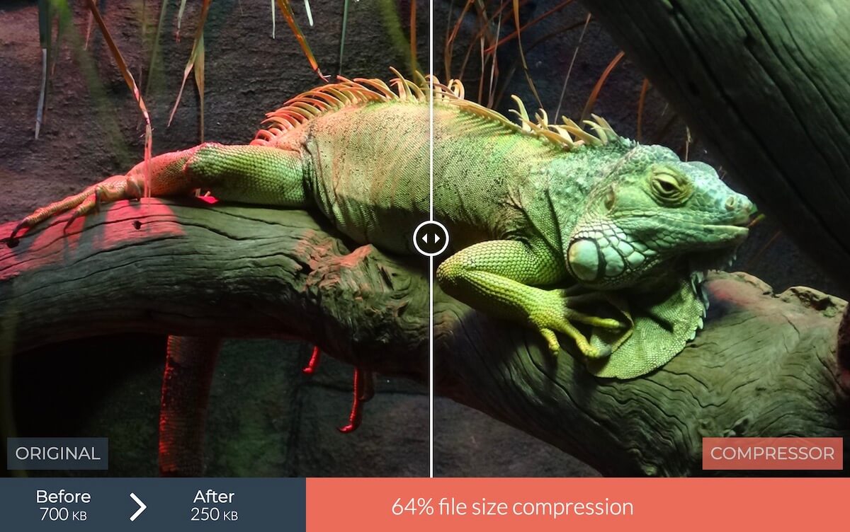 10 Free Online Image Compressor Tools 7 compressor.io
